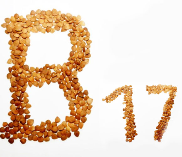 Vitamina B17 (1)