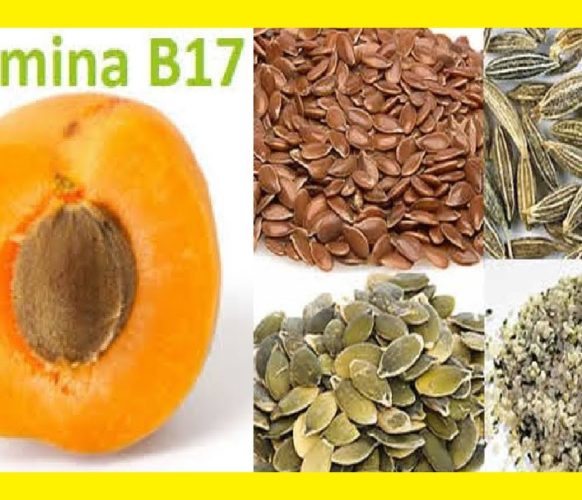 Vitamina B17 (5)