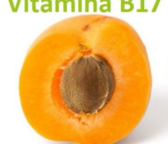 Vitamina B17 (8)